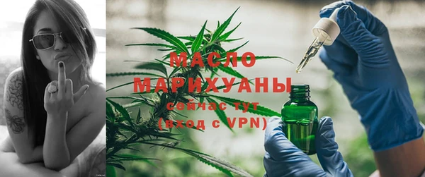 дмт Богородск