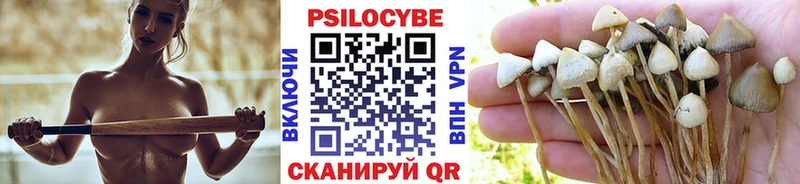 Псилоцибиновые грибы MAGIC MUSHROOMS что такое Вельск