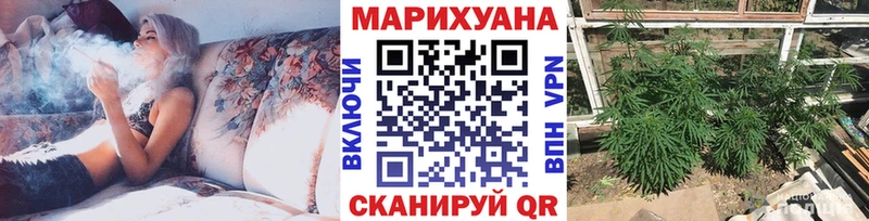 Шишки марихуана OG Kush Вельск